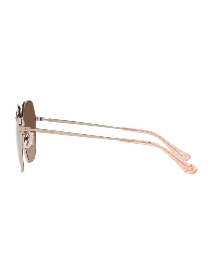 HC7132 C7998 Gold Sunglasses image 4