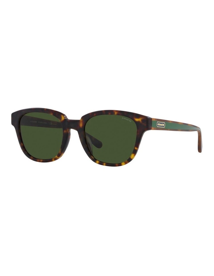 HC8340U C8003 Tortoise Sunglasses Assorted