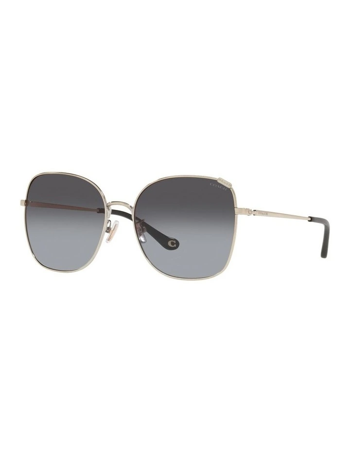 HC7133 C7997 Gold Sunglasses image 1