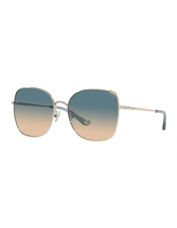 HC7133 C7997 Gold Sunglasses
