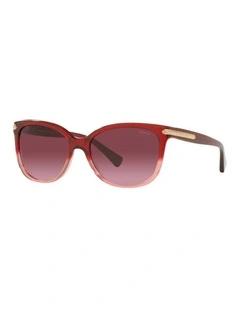 HC8132 L109 Violet Sunglasses