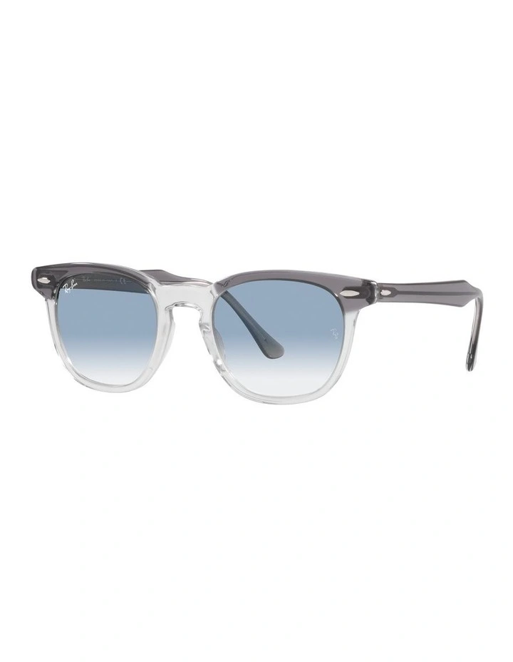 Hawkeye Grey Sunglasses image 1