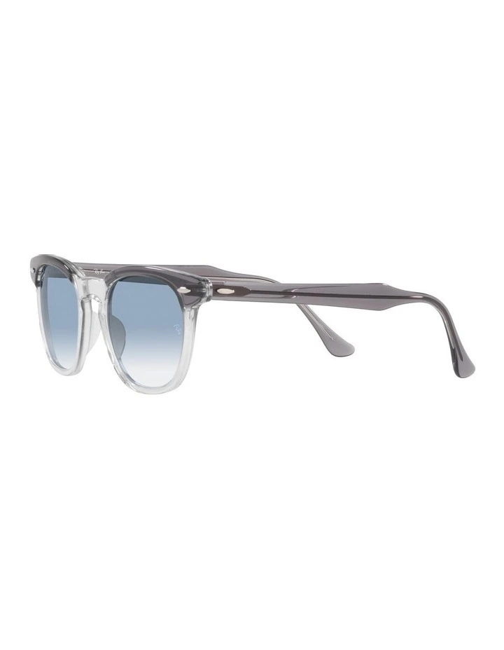 Hawkeye Grey Sunglasses image 3