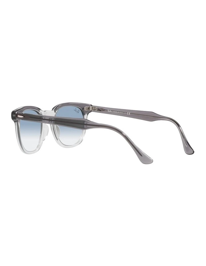 Hawkeye Grey Sunglasses image 5