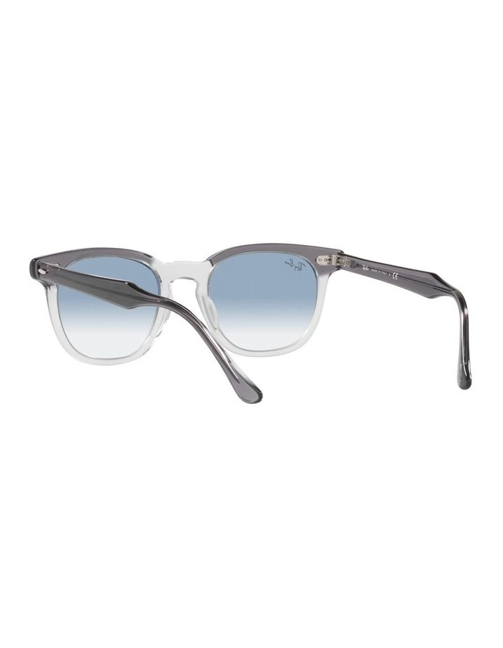 Hawkeye Grey Sunglasses image 6