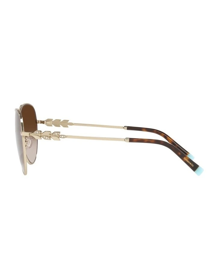 TF3083B Gold Sunglasses image 4