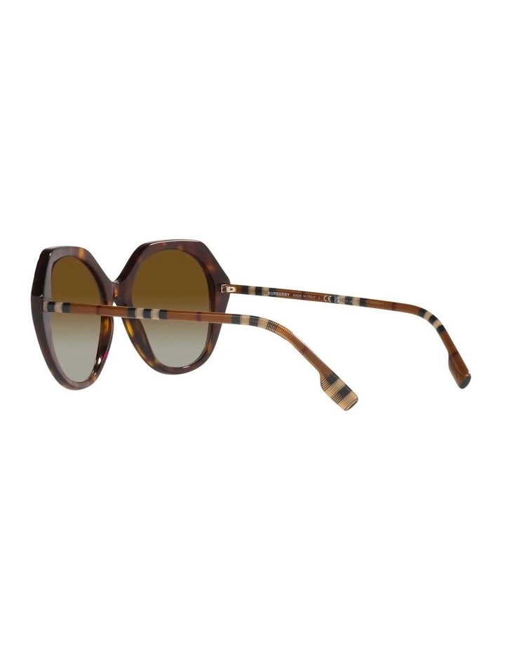 Vanessa Low Bridge Fit Polarised Sunglasses in Brown image 5