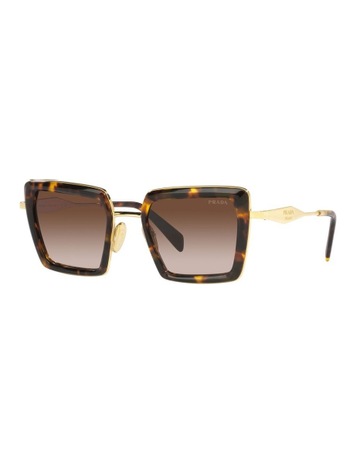 Honey Tortoise colour