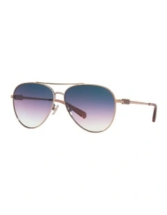 CD474 Sunglasses in Shiny Rose Gold