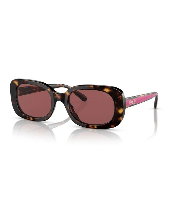 CD471 Sunglasses in Dark Tortoise image 1