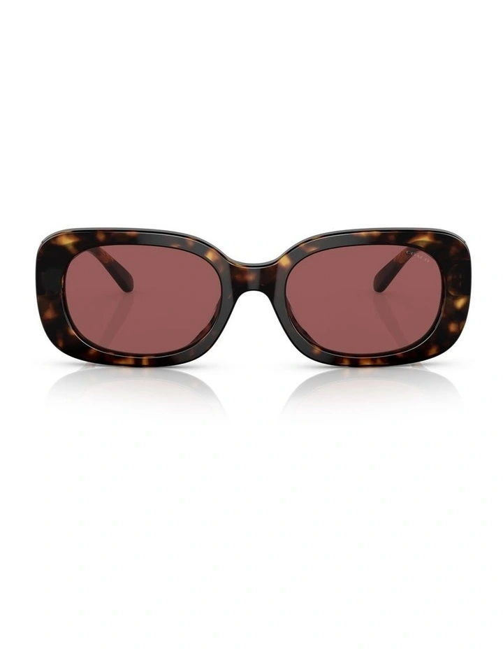 CD471 Sunglasses in Dark Tortoise image 2