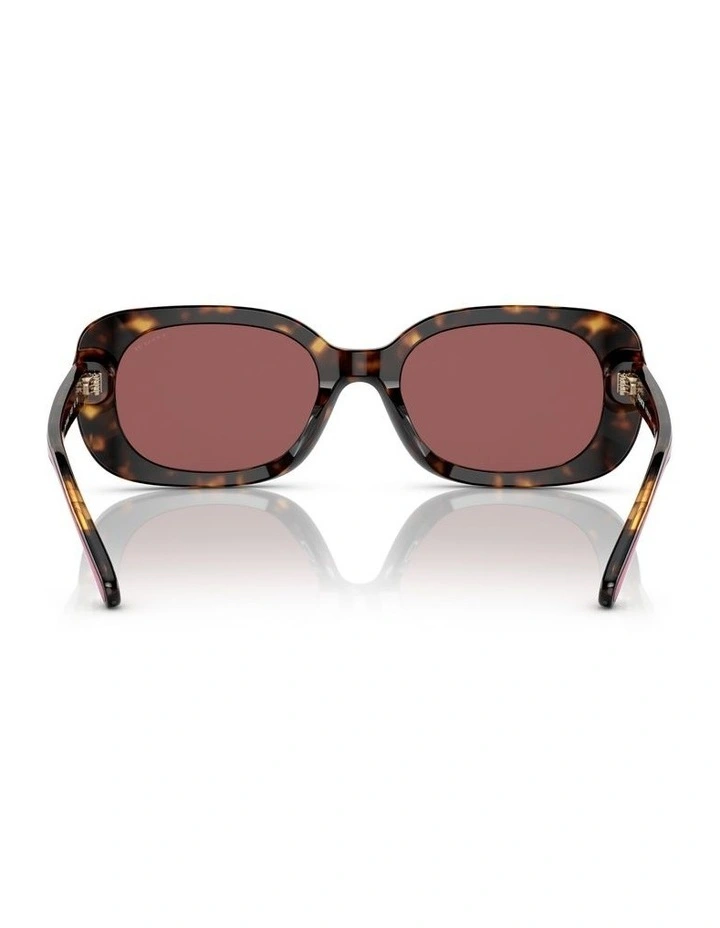 CD471 Sunglasses in Dark Tortoise image 4