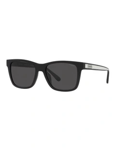 CD455 Sunglasses in Rubber Black
