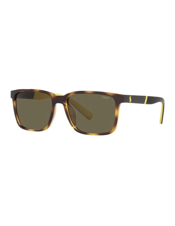 0PH4189U Sunglasses in Havana image 1
