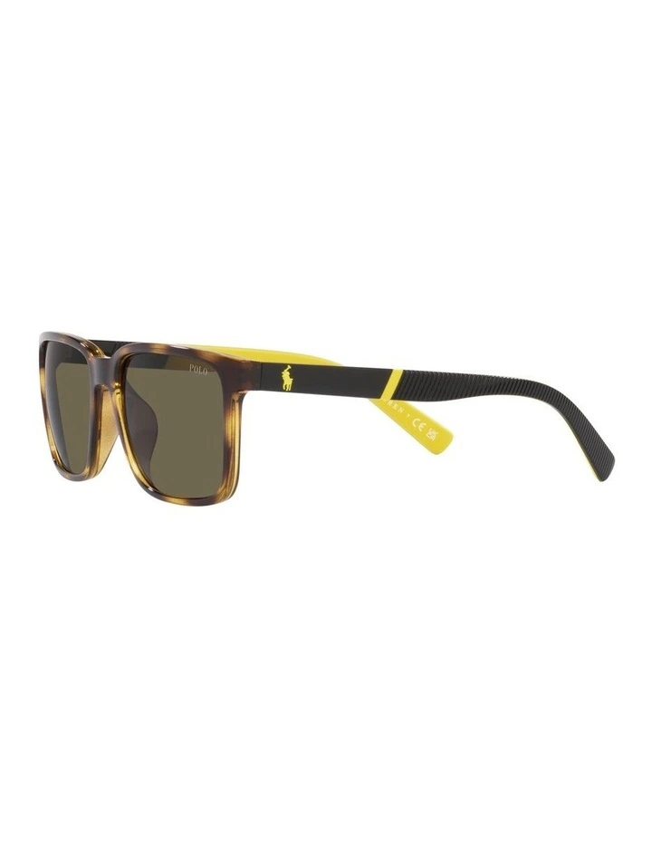 0PH4189U Sunglasses in Havana image 3