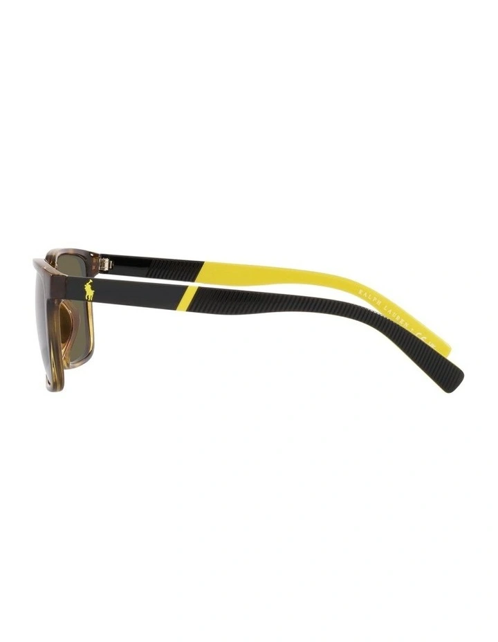 0PH4189U Sunglasses in Havana image 4