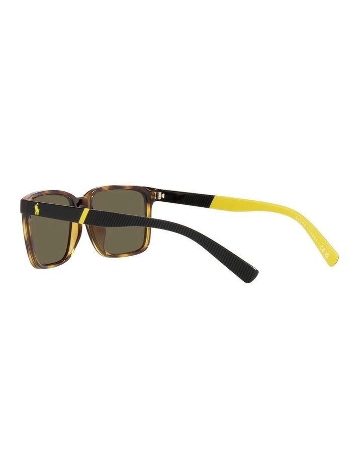 0PH4189U Sunglasses in Havana image 5