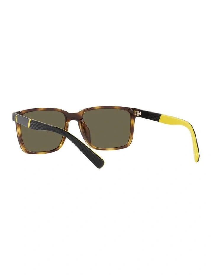 0PH4189U Sunglasses in Havana image 6