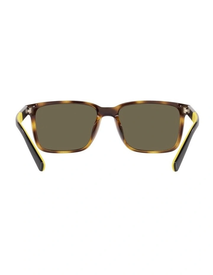 0PH4189U Sunglasses in Havana image 7
