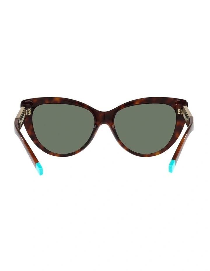 0TF4196 Sunglasses in Havana image 7