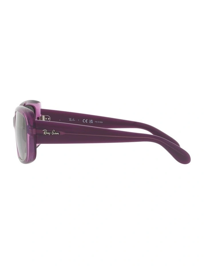 0RB4389 Polarised Sunglasses In Transparent Violet image 4