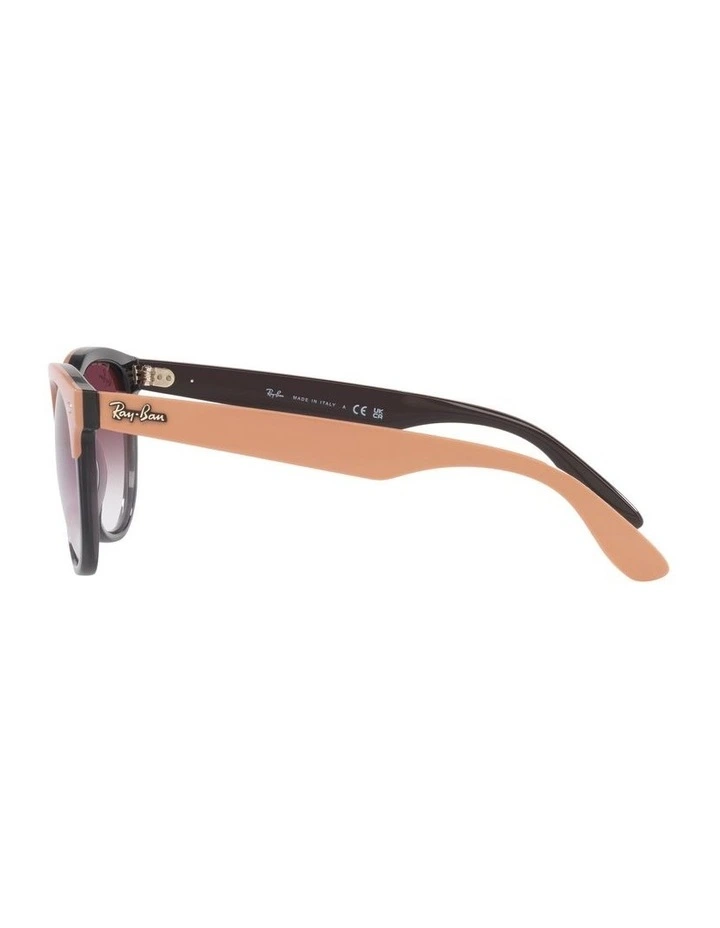 IRIS Sunglasses In Beige image 4