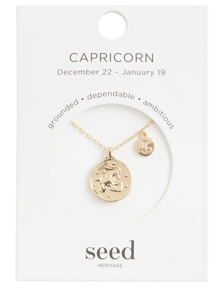 Capricorn Zodiac Necklace in Gold image 4