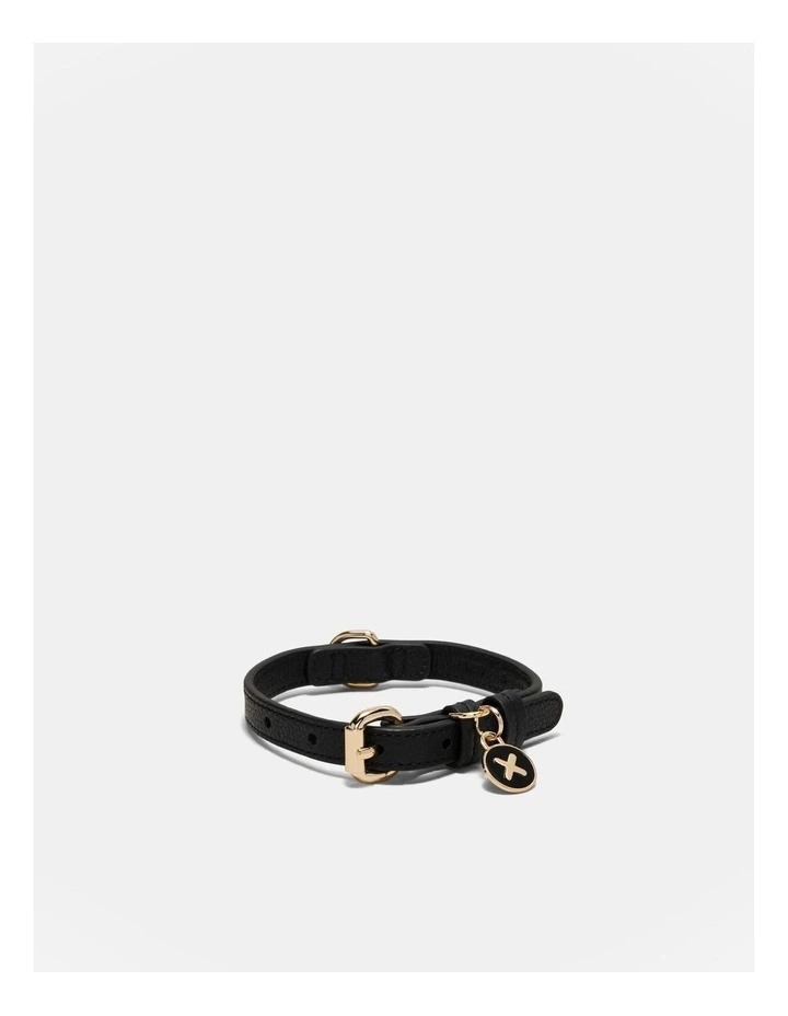 Pooch Small Collar in Black/Light Gold image 1
