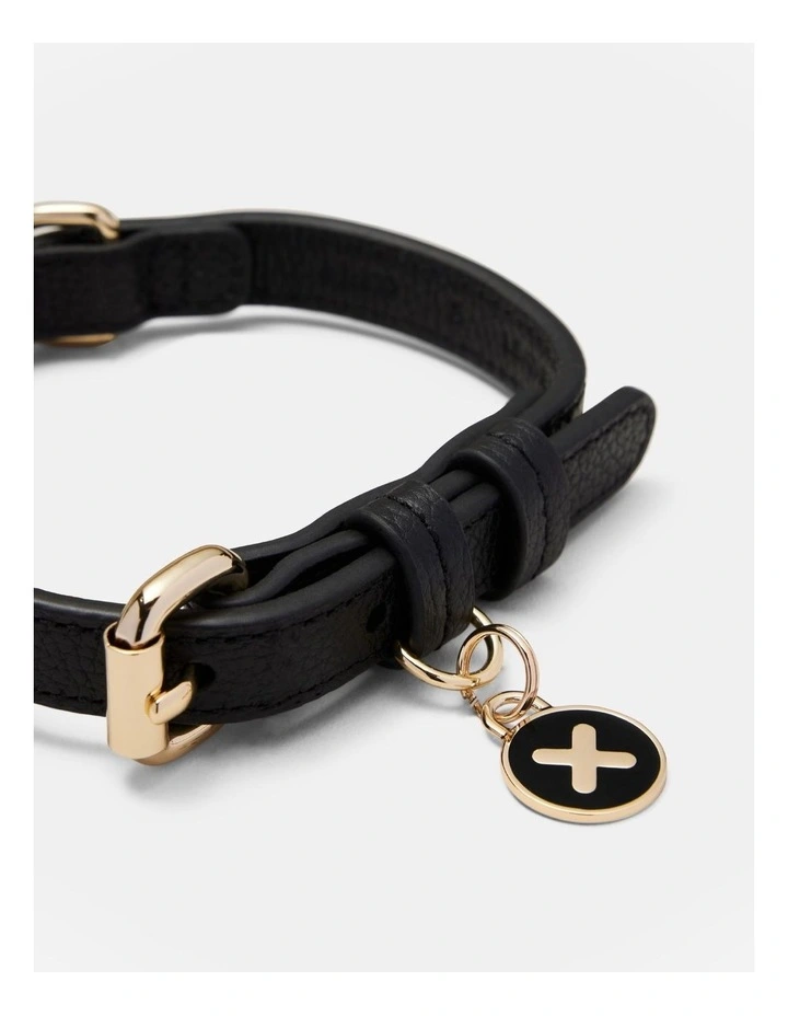 Pooch Small Collar in Black/Light Gold image 4