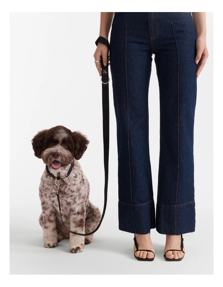 Pooch Lead in Black Light Gold image 2