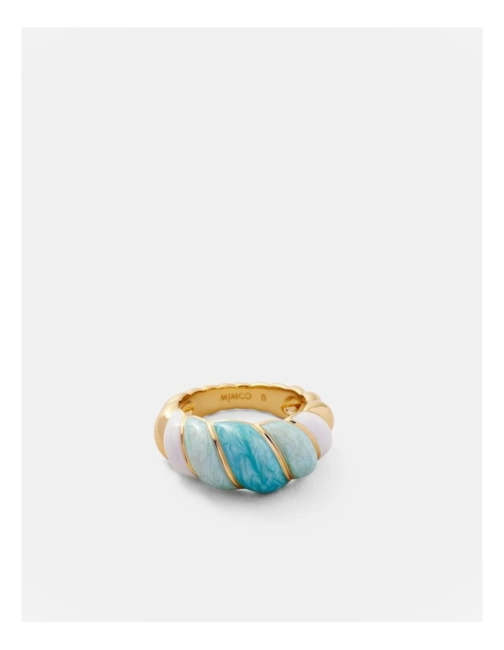 Florida Ring in Ocean Dive image 1