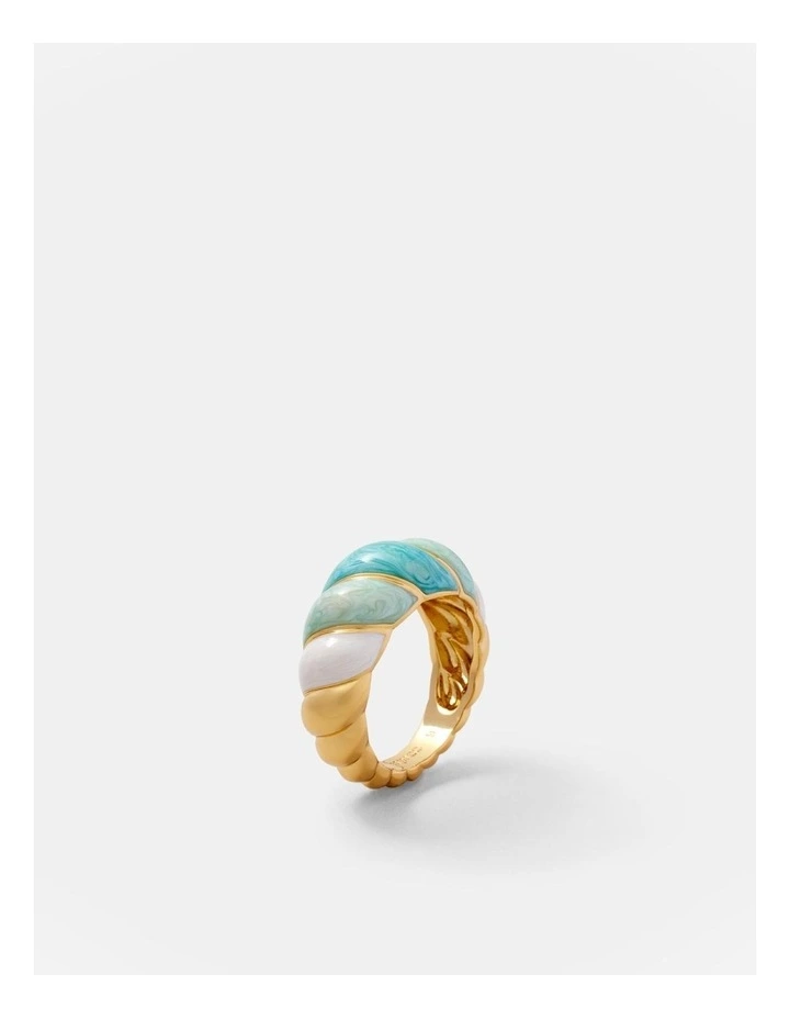 Florida Ring in Ocean Dive image 3