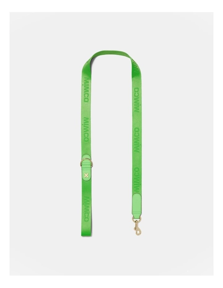 Pooch Lead in Spiced Apple image 1