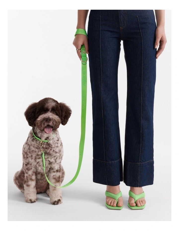 Pooch Lead in Spiced Apple image 2