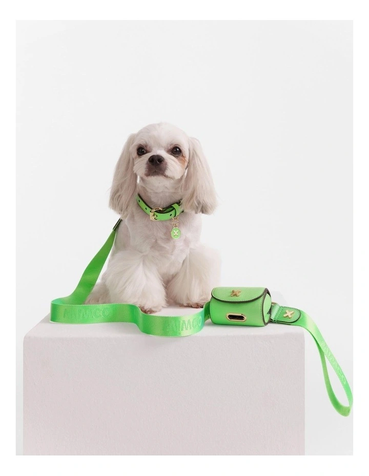 Pooch Lead in Spiced Apple image 3