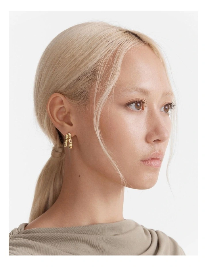 Paradisal Double Hoop Earrings in Gold image 2