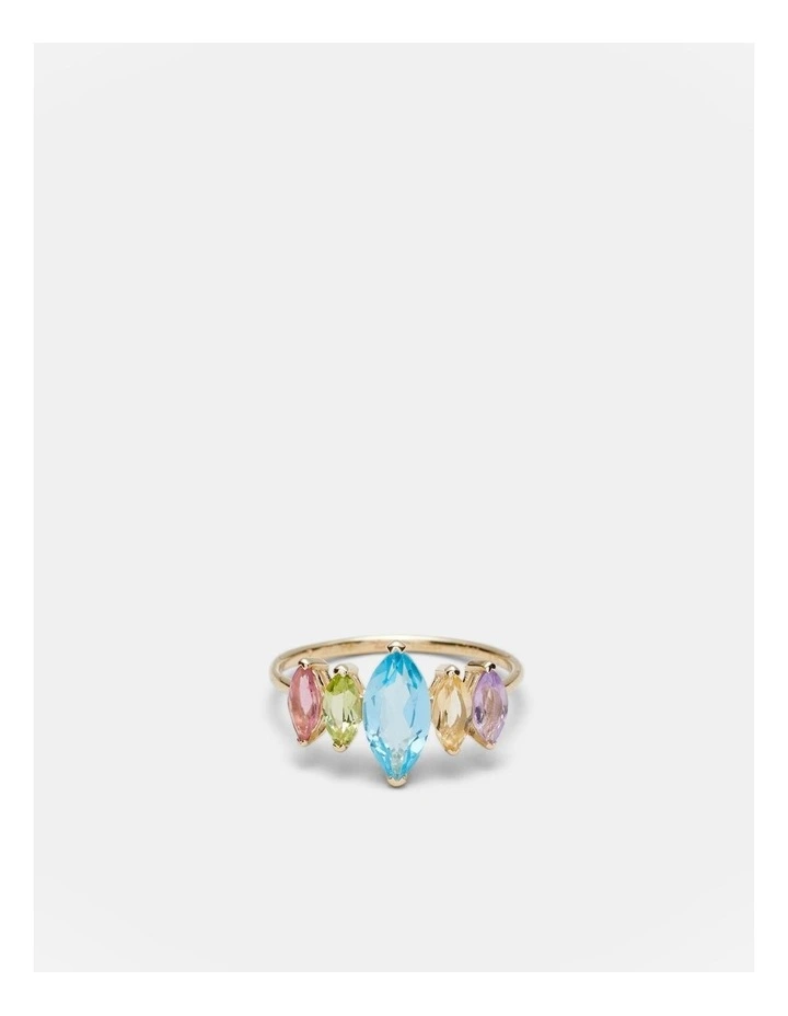 Limited Edition Rainbow Ring in Multicolour image 1