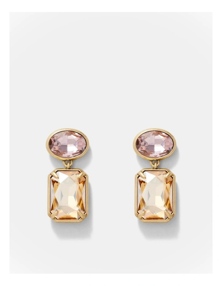 Demeanour Drop Earrings in Wine image 1