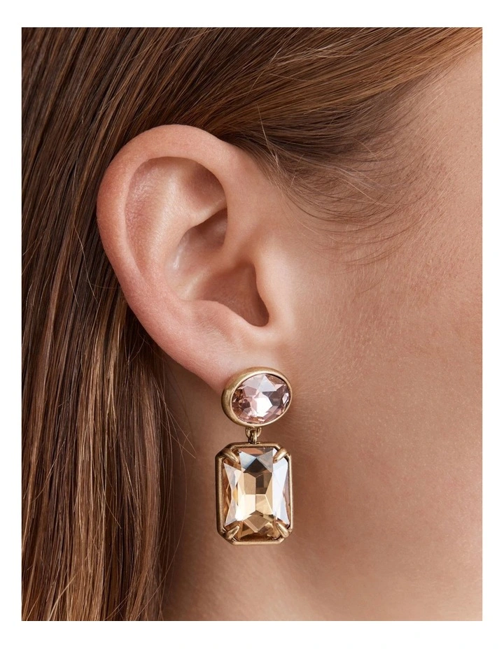 Demeanour Drop Earrings in Wine image 2