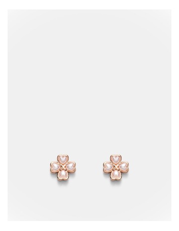 Rose Gold colour