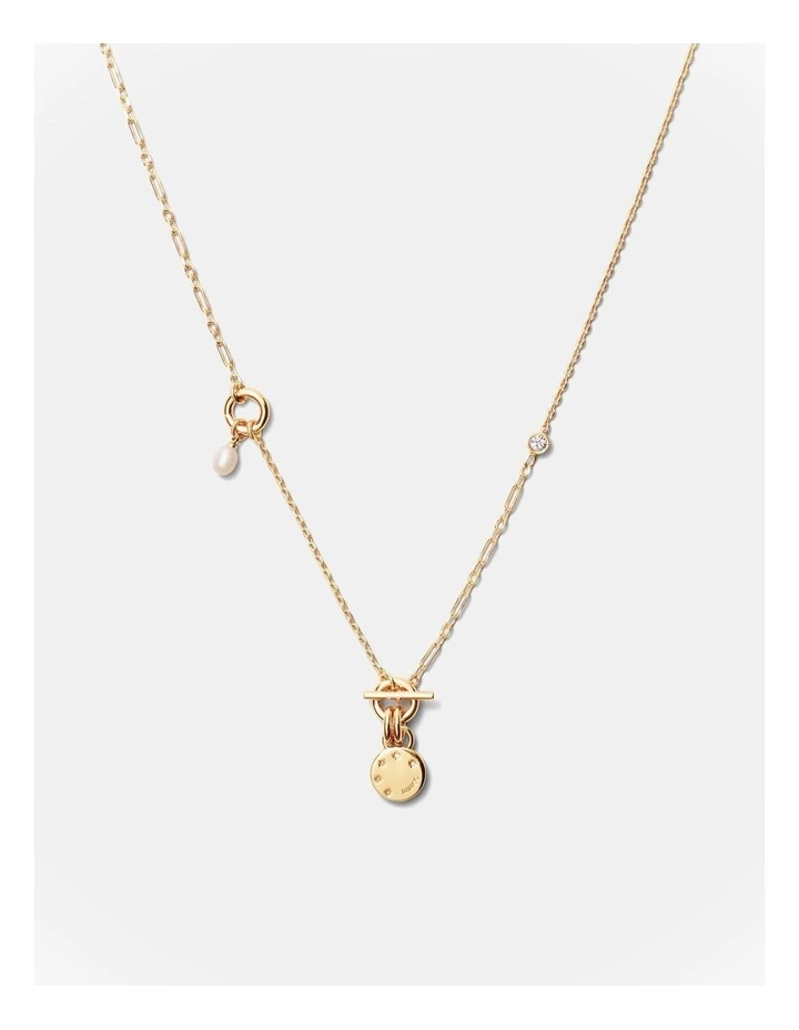 Alluring Long Necklace in Gold image 1