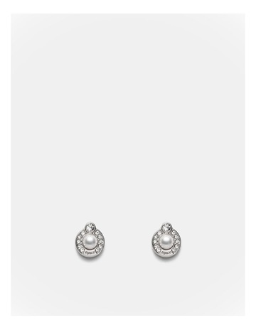 Silver colour