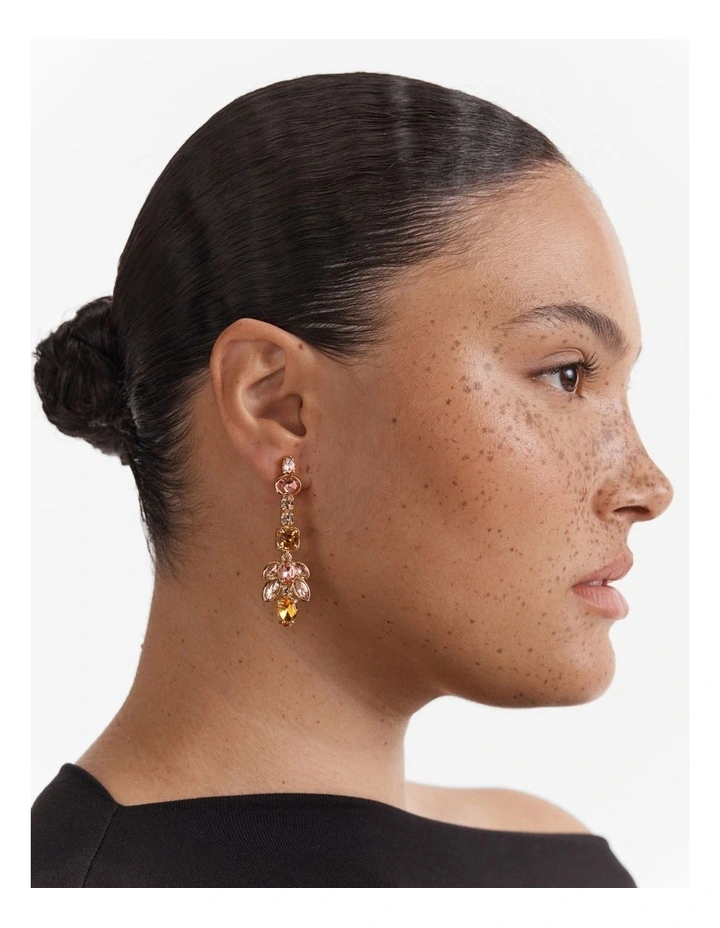 Alluring Drop Earrings in Petal image 4