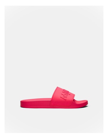 Flamingo colour