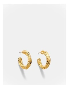 Fasten Hoop Earrings in Gold