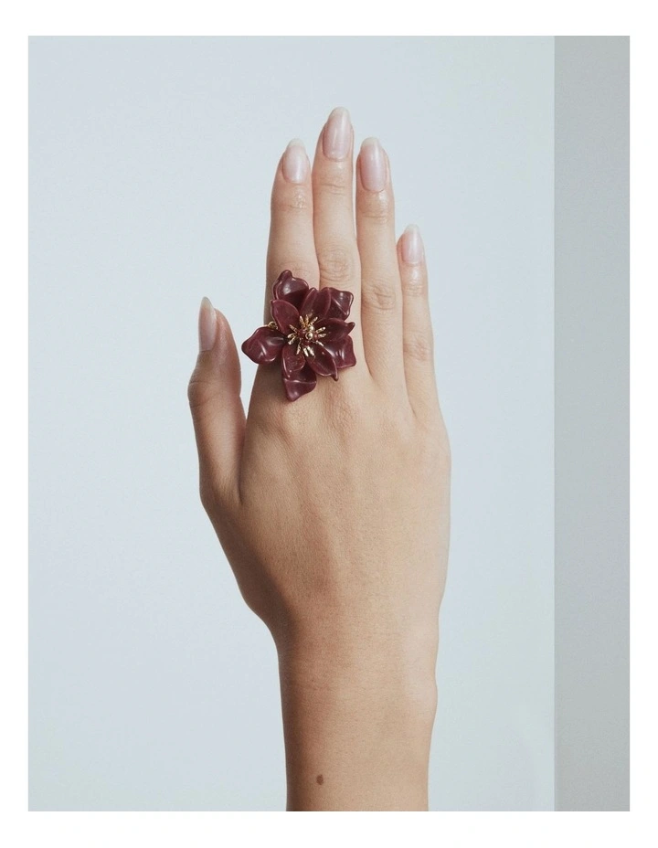 Vienne Ring in Bordeaux image 2