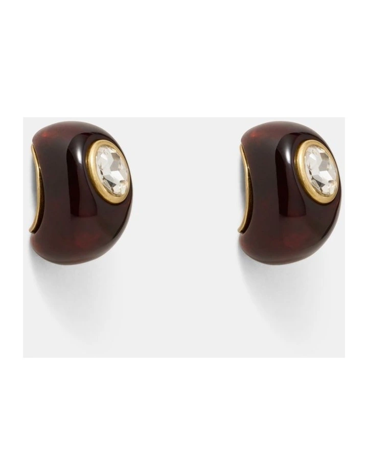 Destined Resin Hoop Earrings in Tort image 1
