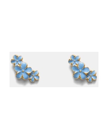 Cornflower Blue colour