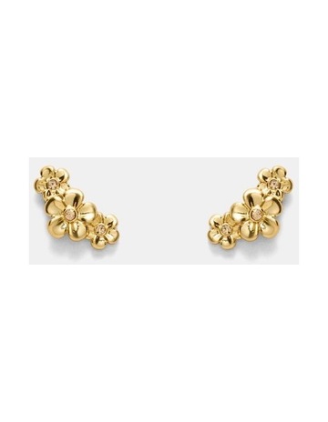 Gold colour