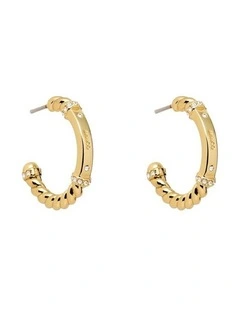 Hali Hoop Earrings Ear  in Gold